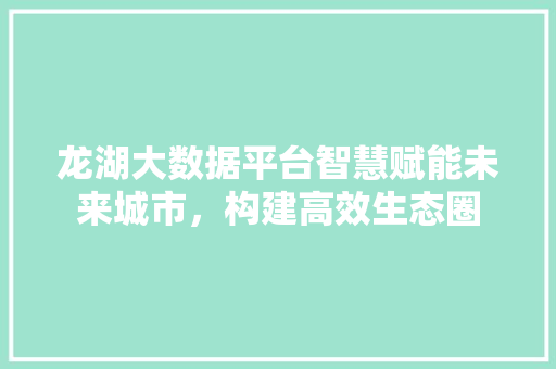 龙湖大数据平台智慧赋能未来城市，构建高效生态圈