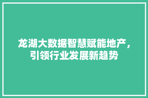 龙湖大数据智慧赋能地产，引领行业发展新趋势