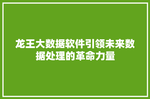 龙王大数据软件引领未来数据处理的革命力量