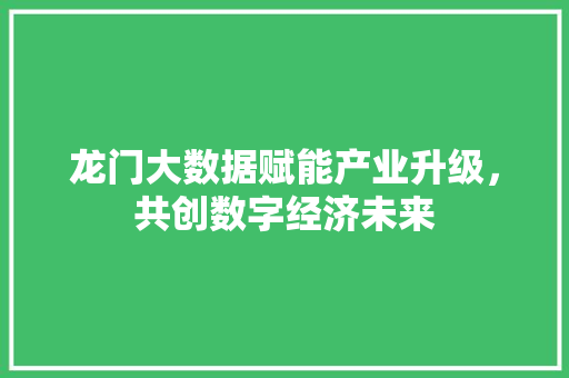 龙门大数据赋能产业升级，共创数字经济未来