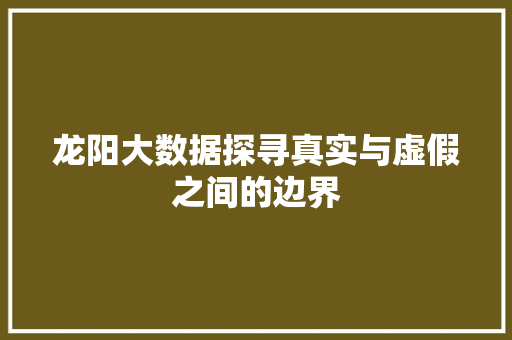 龙阳大数据探寻真实与虚假之间的边界