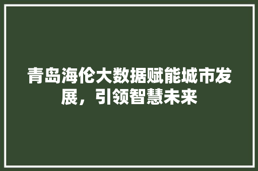 青岛海伦大数据赋能城市发展，引领智慧未来  第1张