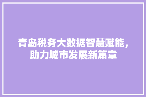 青岛税务大数据智慧赋能，助力城市发展新篇章