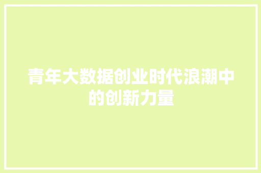 青年大数据创业时代浪潮中的创新力量