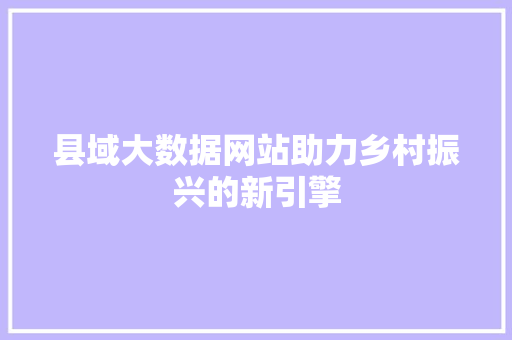县域大数据网站助力乡村振兴的新引擎