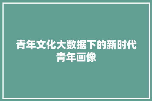 青年文化大数据下的新时代青年画像