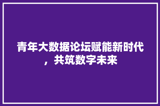青年大数据论坛赋能新时代，共筑数字未来