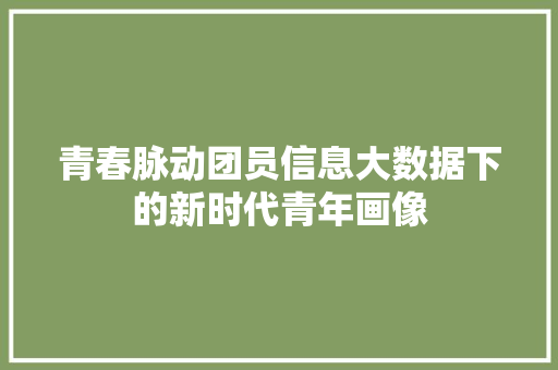 青春脉动团员信息大数据下的新时代青年画像