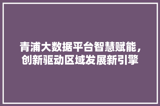 青浦大数据平台智慧赋能，创新驱动区域发展新引擎