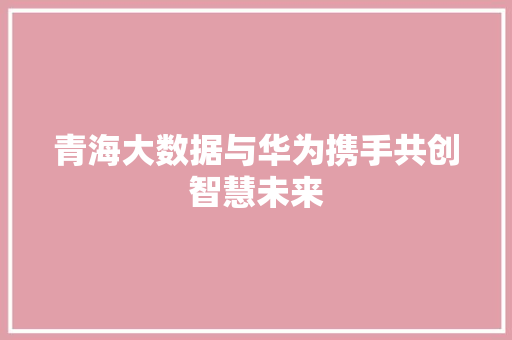青海大数据与华为携手共创智慧未来