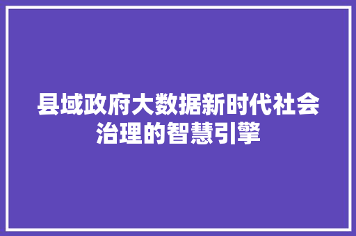 县域政府大数据新时代社会治理的智慧引擎