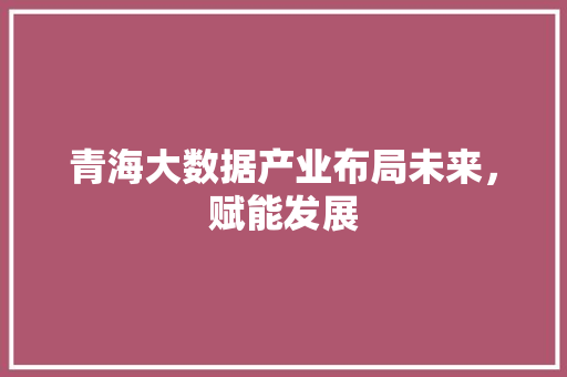 青海大数据产业布局未来，赋能发展  第1张