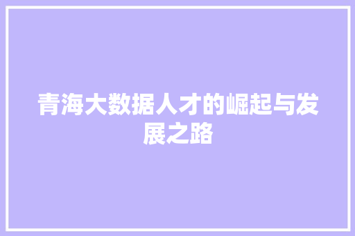 青海大数据人才的崛起与发展之路