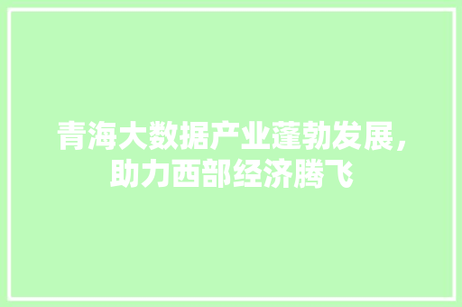 青海大数据产业蓬勃发展，助力西部经济腾飞  第1张