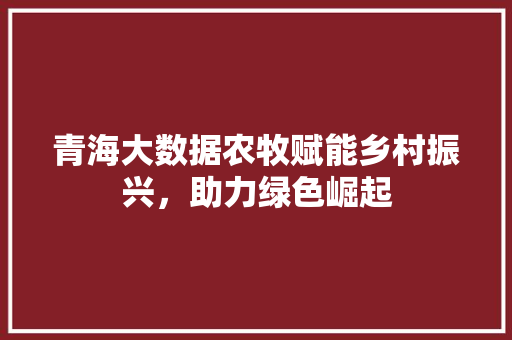 青海大数据农牧赋能乡村振兴，助力绿色崛起  第1张