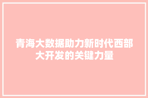 青海大数据助力新时代西部大开发的关键力量  第1张