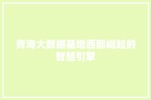 青海大数据基地西部崛起的智慧引擎  第1张