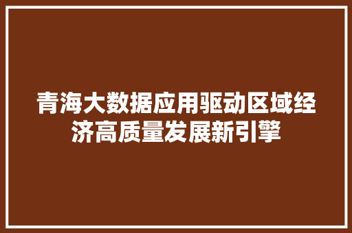 青海大数据应用驱动区域经济高质量发展新引擎  第1张