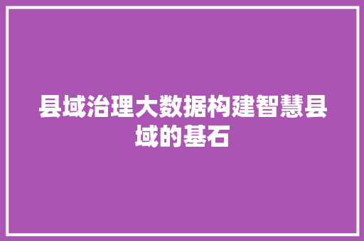 县域治理大数据构建智慧县域的基石
