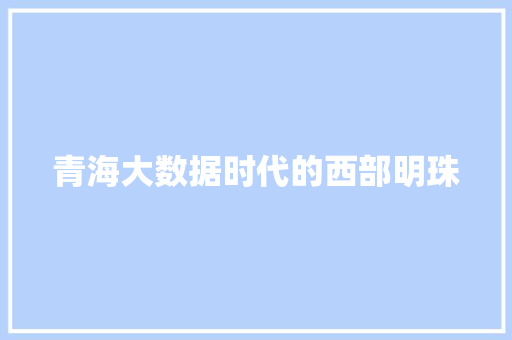 青海大数据时代的西部明珠