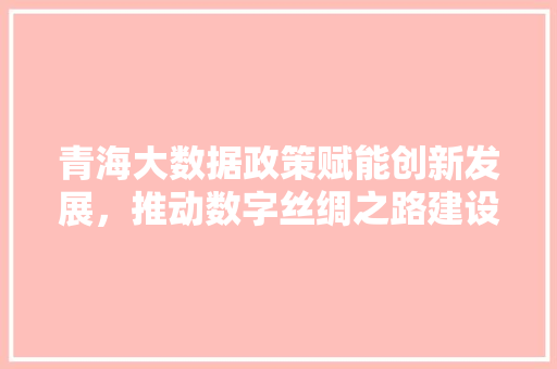 青海大数据政策赋能创新发展，推动数字丝绸之路建设