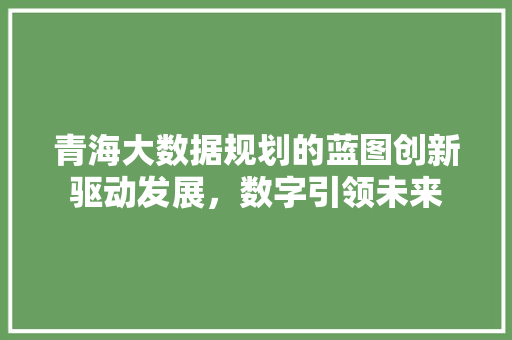 青海大数据规划的蓝图创新驱动发展，数字引领未来