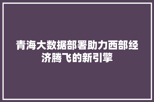 青海大数据部署助力西部经济腾飞的新引擎