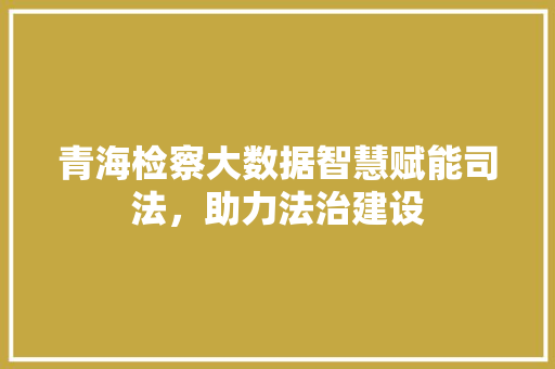 青海检察大数据智慧赋能司法，助力法治建设