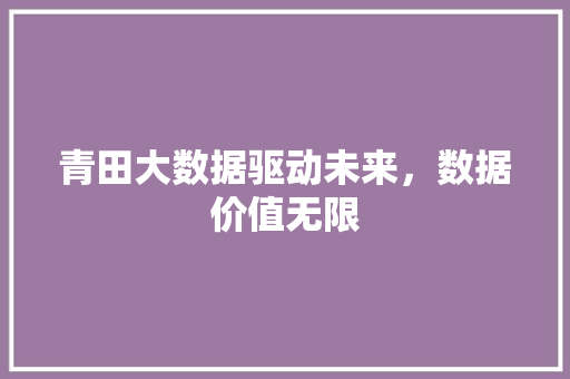 青田大数据驱动未来，数据价值无限