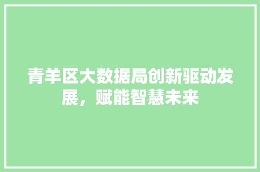 青羊区大数据局创新驱动发展，赋能智慧未来