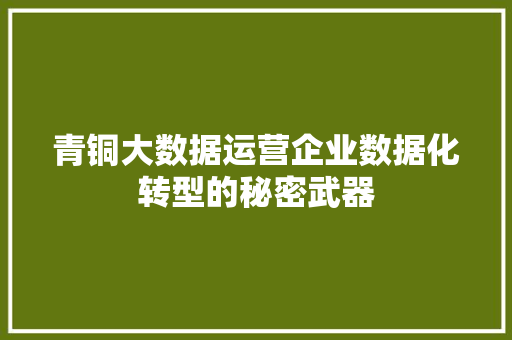 青铜大数据运营企业数据化转型的秘密武器