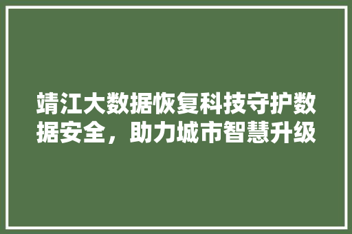 靖江大数据恢复科技守护数据安全，助力城市智慧升级