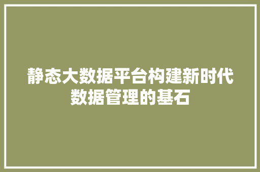 静态大数据平台构建新时代数据管理的基石
