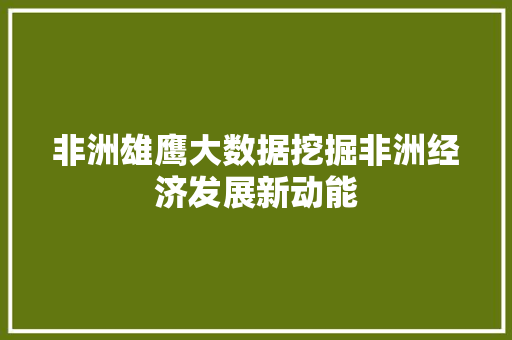 非洲雄鹰大数据挖掘非洲经济发展新动能