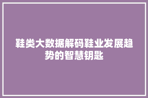 鞋类大数据解码鞋业发展趋势的智慧钥匙