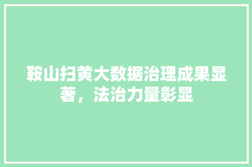 鞍山扫黄大数据治理成果显著，法治力量彰显