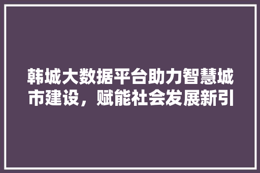韩城大数据平台助力智慧城市建设，赋能社会发展新引擎