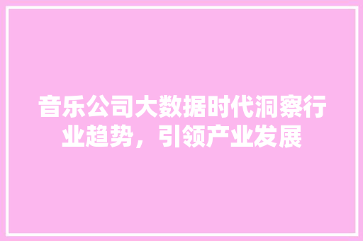 音乐公司大数据时代洞察行业趋势，引领产业发展