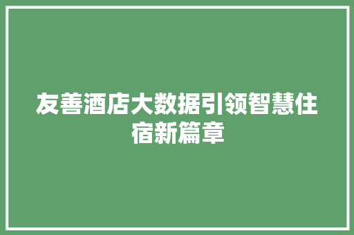 友善酒店大数据引领智慧住宿新篇章