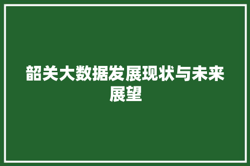 韶关大数据发展现状与未来展望