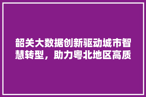 韶关大数据创新驱动城市智慧转型，助力粤北地区高质量发展
