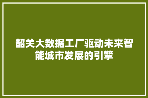 韶关大数据工厂驱动未来智能城市发展的引擎