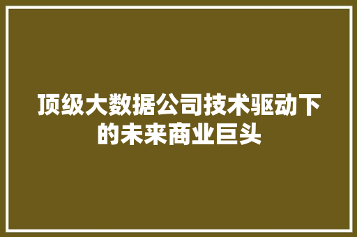 顶级大数据公司技术驱动下的未来商业巨头