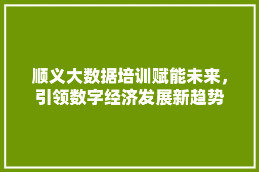 顺义大数据培训赋能未来，引领数字经济发展新趋势