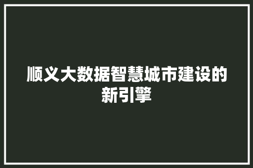 顺义大数据智慧城市建设的新引擎  第1张