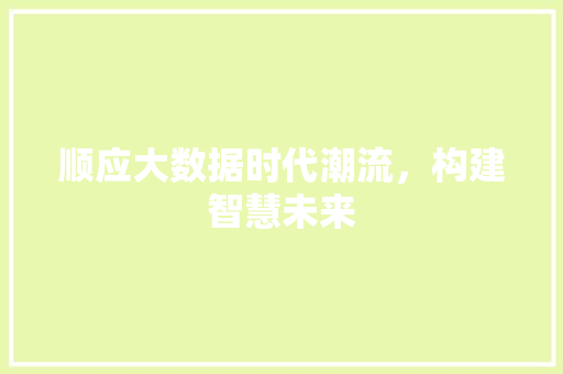 顺应大数据时代潮流，构建智慧未来