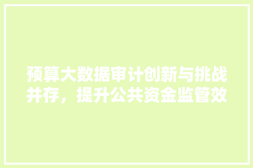 预算大数据审计创新与挑战并存，提升公共资金监管效能