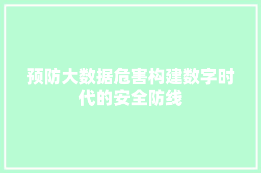 预防大数据危害构建数字时代的安全防线