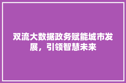 双流大数据政务赋能城市发展，引领智慧未来