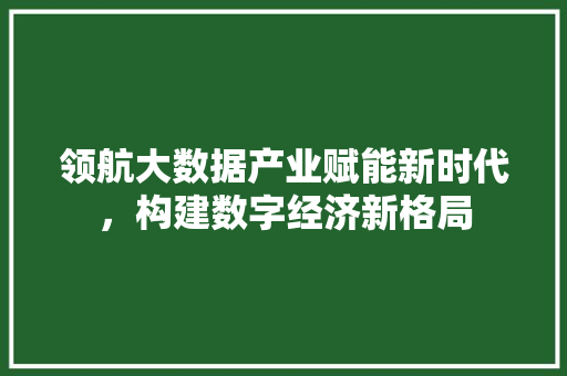 领航大数据产业赋能新时代，构建数字经济新格局